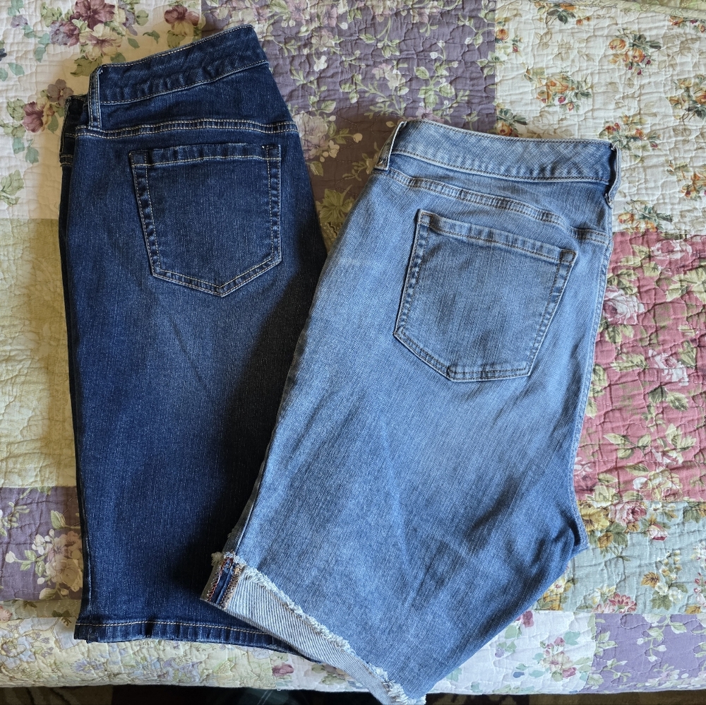 2 Piece Lot - Torrid Bermudas